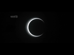 Puerta óptica de la barrera de la velocidad del edificio de oficinas del torniquete de la puerta de velocidad AC100-240V